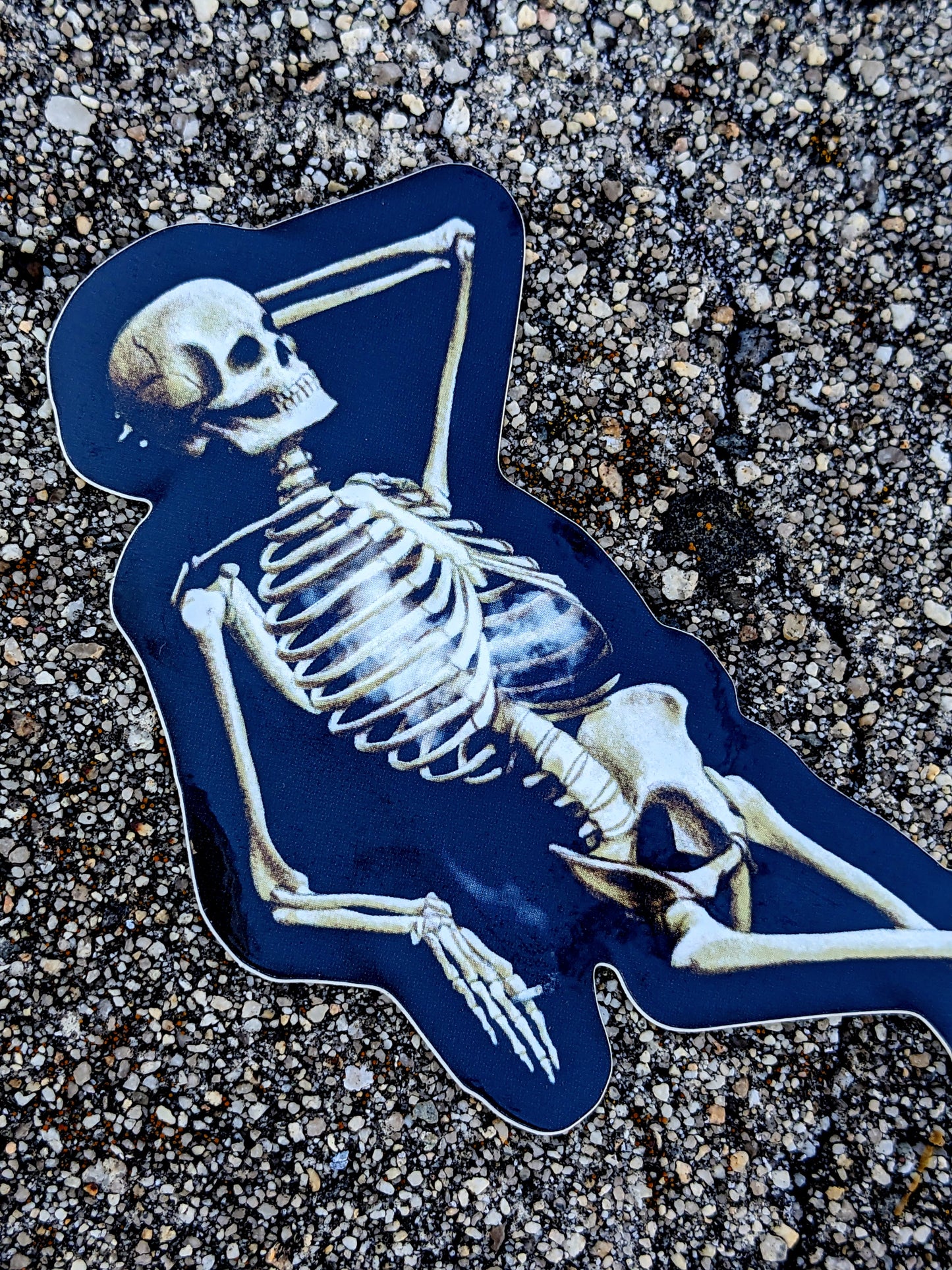 Smoking Skeleton 6" Sticker